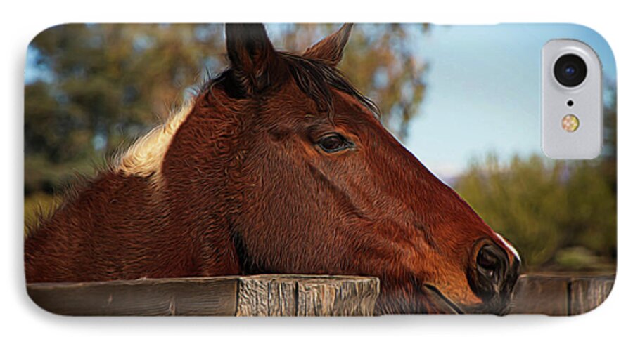 Horse iPhone 7 Case featuring the photograph Well Hello There by Teresa Wilson