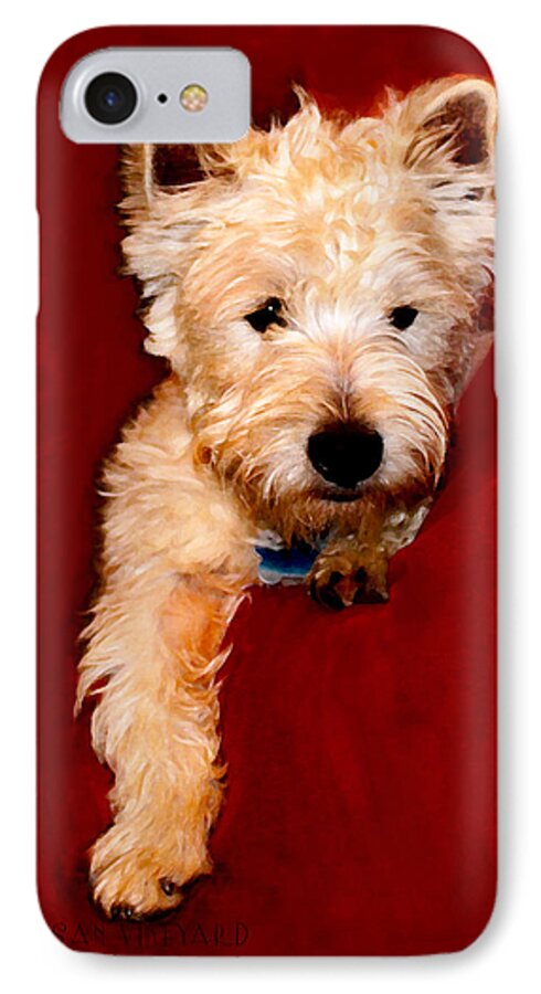 West Highland White Terrier iPhone 7 Case featuring the photograph Westie Boy by Susan Vineyard