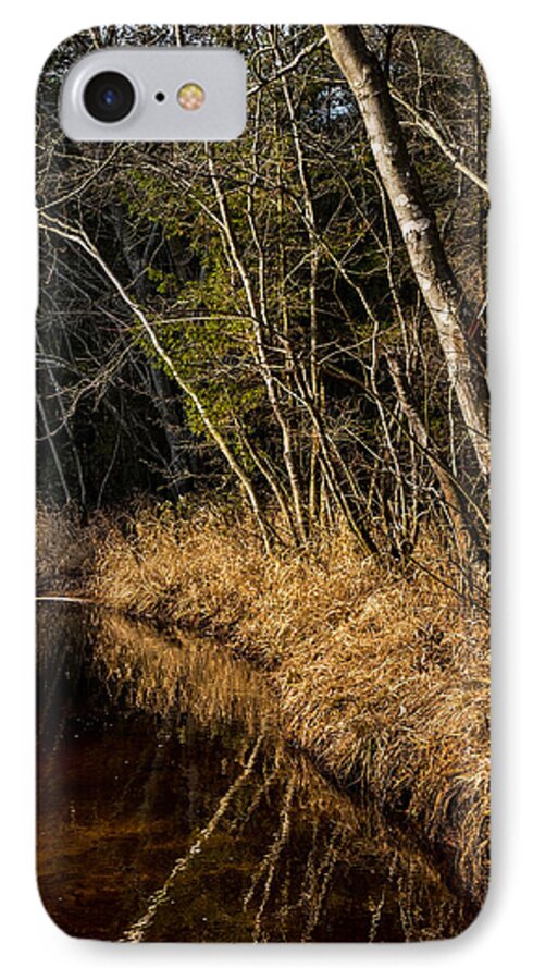 Fall iPhone 7 Case featuring the photograph Wharton Forest Fall by Glenn DiPaola