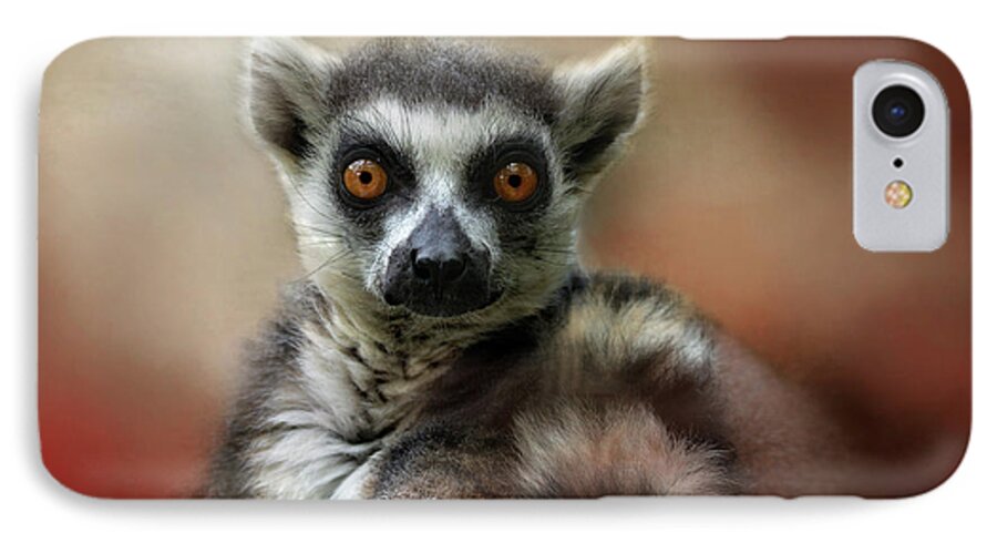 Lemur iPhone 7 Case featuring the photograph What Big Eyes You Have by Kathy Russell