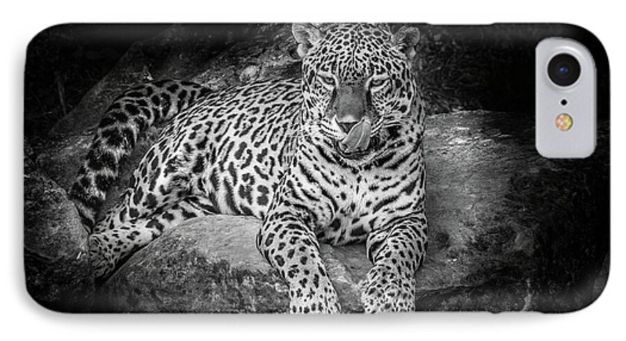 Leopard iPhone 7 Case featuring the photograph What's Next? by Larry Goss