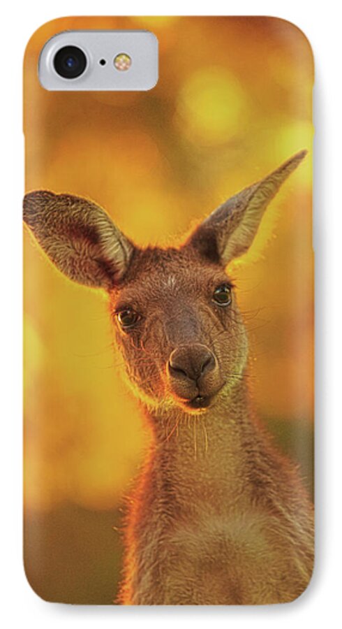 Mad About Wa iPhone 7 Case featuring the photograph What's Up, Yanchep National Park by Dave Catley