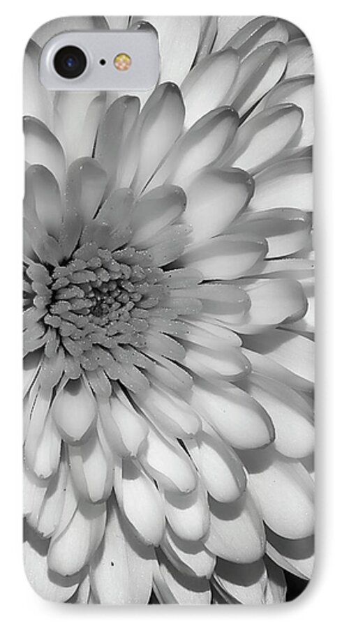 Flower iPhone 7 Case featuring the photograph White Bloom by Susan Cliett