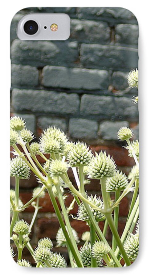 Floral iPhone 7 Case featuring the photograph White Flowers and Bricks by Susan Lafleur