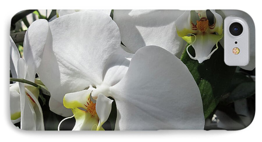 Flowers iPhone 7 Case featuring the photograph White Orchid Bloom Duo by Tony Grider