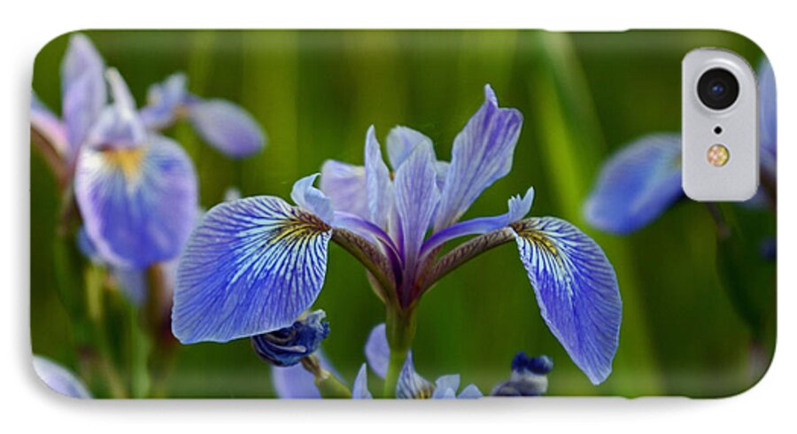 Blue iPhone 7 Case featuring the photograph Wild Blue Iris by Whispering Peaks Photography