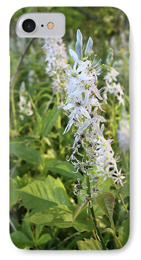 Plant iPhone 7 Case featuring the photograph Wild Hyacinth by Scott Kingery