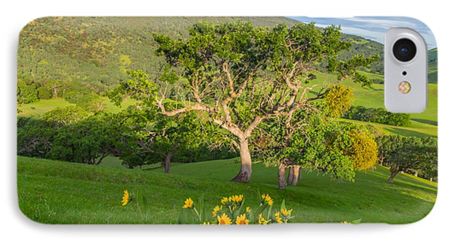 Landscape iPhone 7 Case featuring the photograph Wildflowers Above Round Valley by Marc Crumpler