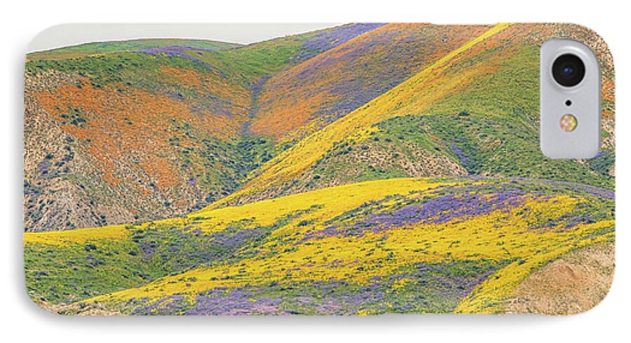 California iPhone 7 Case featuring the photograph Wildflowers at the Summit by Marc Crumpler