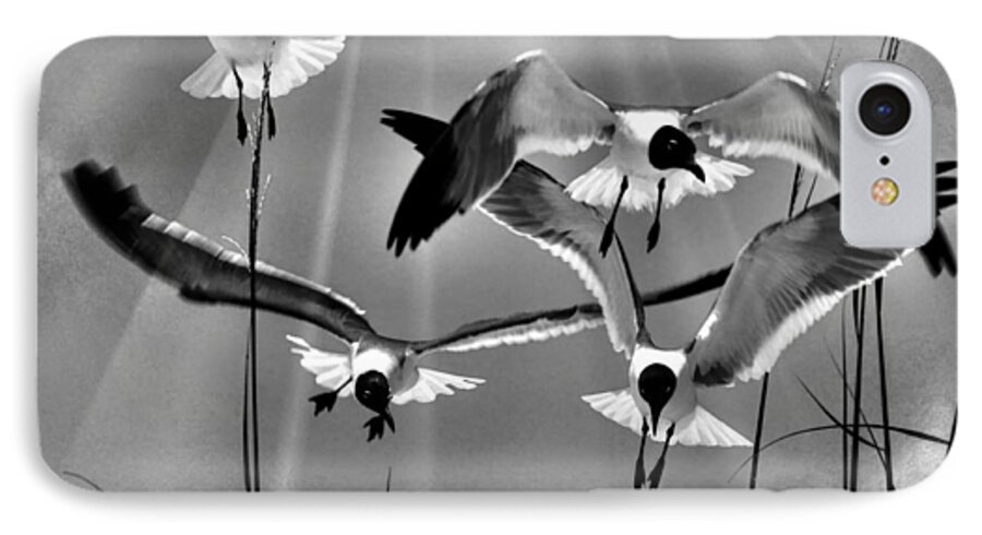 Sea Gulls iPhone 7 Case featuring the photograph Wind Swept BW by Jan Amiss Photography
