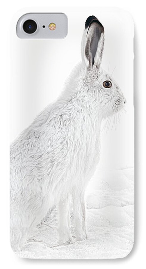 Snowshoe Hare iPhone 7 Case featuring the photograph Winter Snowshoe Hare by Jennie Marie Schell