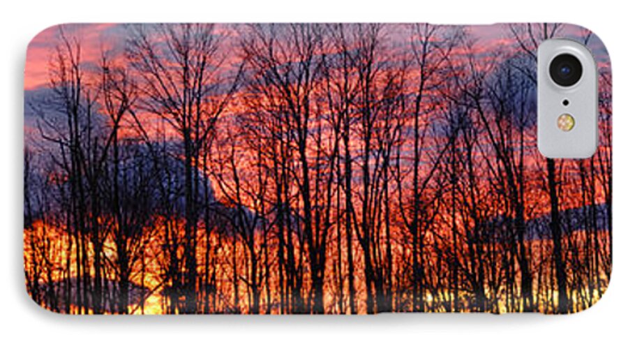 Atmosphere; Beauty; Clear; Climate; Cloud; Cold; Dawn; Dusk; Forest; Landscape; Nature; North; Outdoors; Park; Rural; Scene; Scenic; Season; Silence; Silhouette; Sky; Space; Sun; Sunlight; Sunrise; Sunset; Tranquil; Tree; Brilliant; Country; Countrys iPhone 7 Case featuring the photograph Winter Sunset Panorama by Frances Miller
