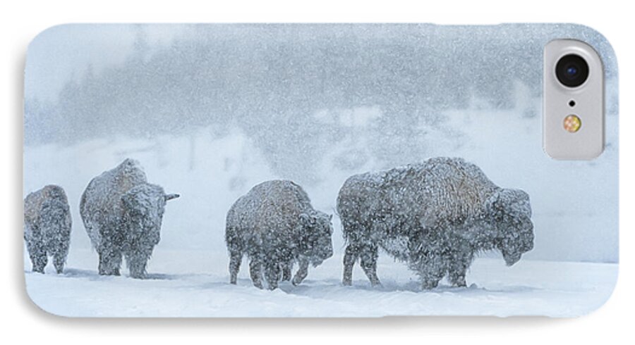 Bison iPhone 7 Case featuring the photograph Winter's Burden by Sandra Bronstein