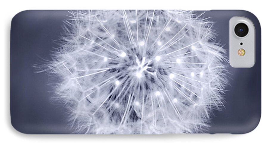 Dandelion iPhone 7 Case featuring the photograph Wish by Melanie Alexandra Price