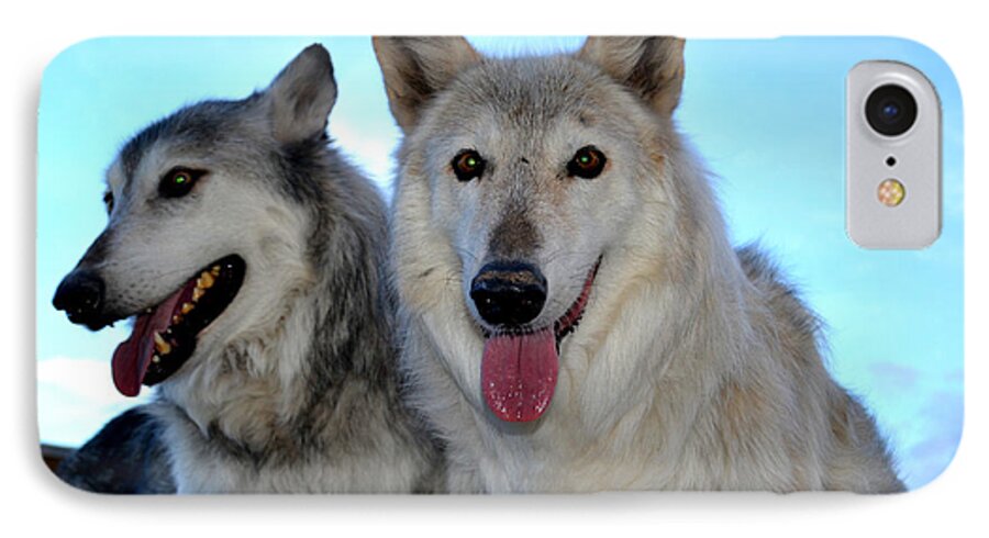 Wolf iPhone 7 Case featuring the photograph wolves IV by Diane montana Jansson