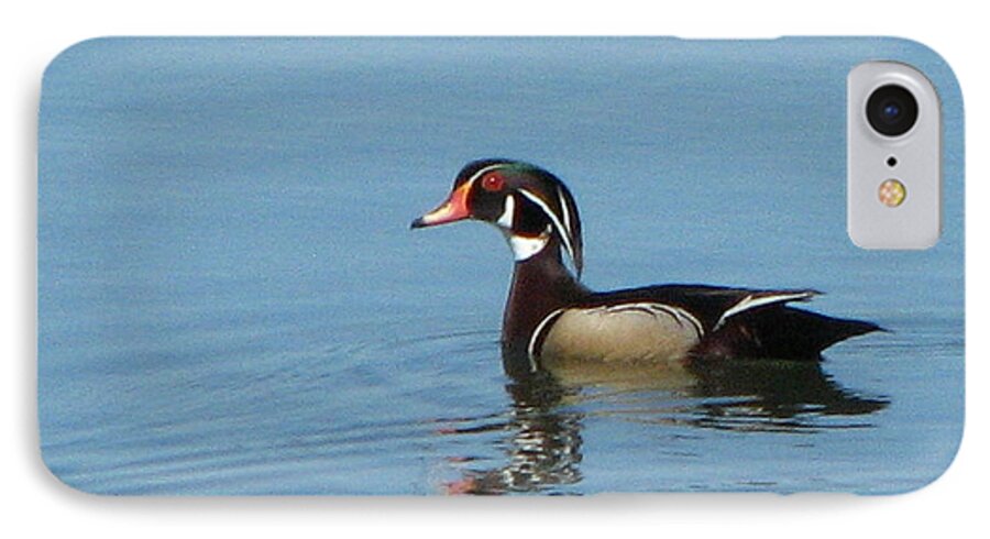 Ducks iPhone 7 Case featuring the photograph Wood Duck by T Guy Spencer