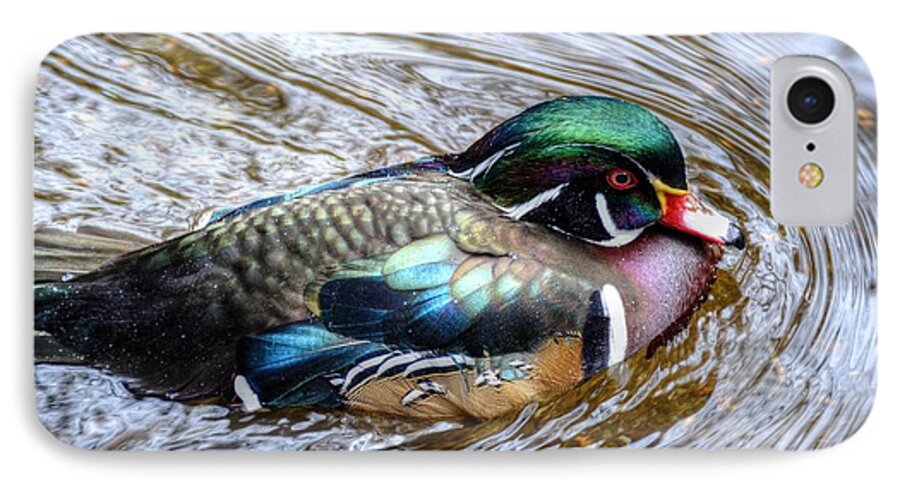 Woodduck iPhone 7 Case featuring the photograph Woodduck portrait by Ronda Ryan