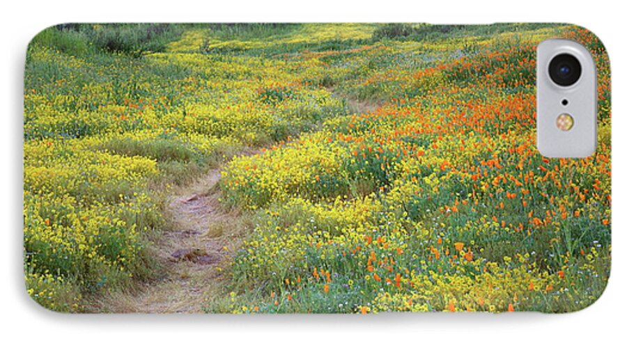 Wildflower iPhone 7 Case featuring the photograph Yellow and orange wildflowers along trail near Diamond Lake by Jetson Nguyen