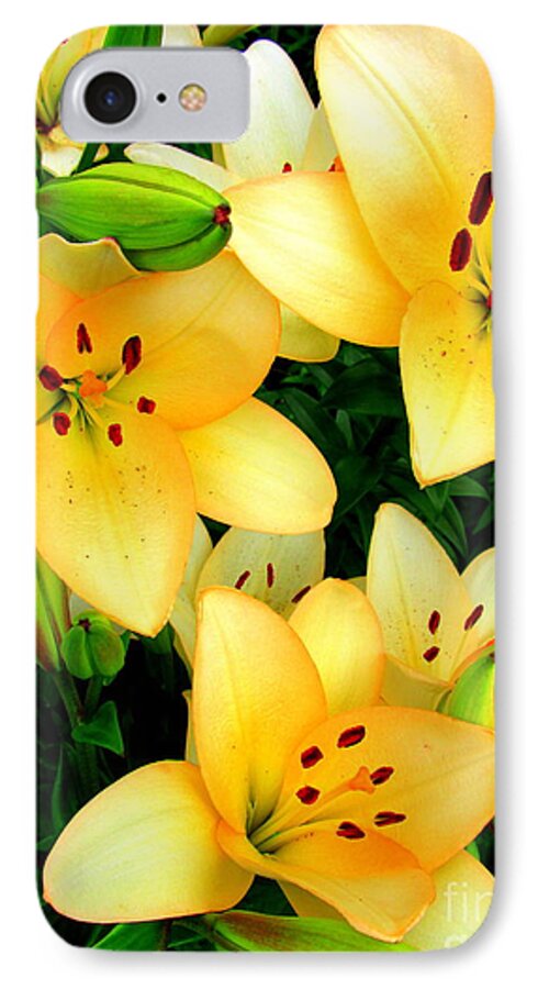 Yellow Lilies iPhone 7 Case featuring the photograph Yellow Lilies 3 by Randall Weidner