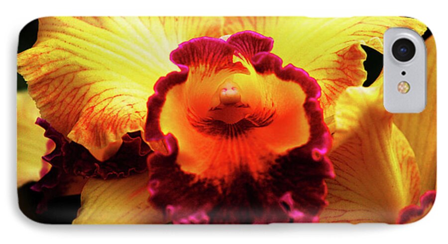 Hawaii iPhone 7 Case featuring the photograph Yellow-Purple Orchid by Anthony Jones