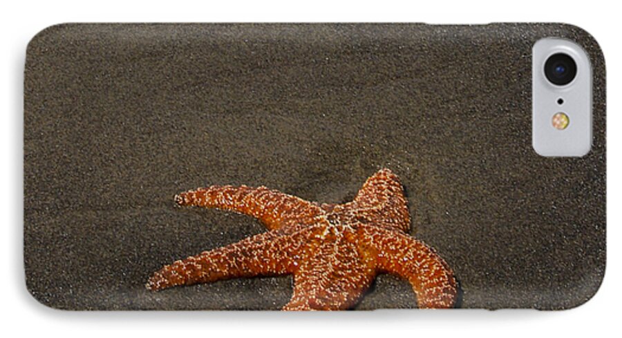  iPhone 7 Case featuring the photograph Orange Starfish on Oregon Beach by Chuck Flewelling