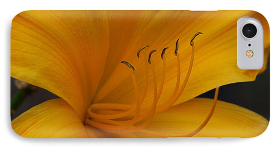Flower iPhone 7 Case featuring the photograph Yellow Tiger Lilly by Grace Grogan