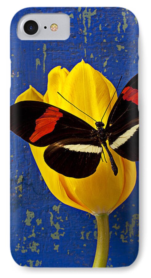 Yellow iPhone 7 Case featuring the photograph Yellow Tulip With Orange and Black Butterfly by Garry Gay