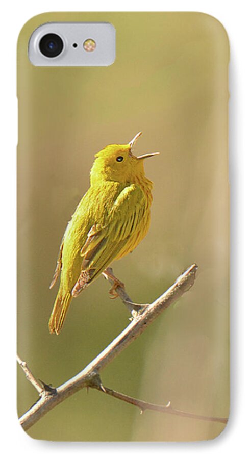 Bird iPhone 7 Case featuring the photograph Yellow Warbler Song by Alan Lenk