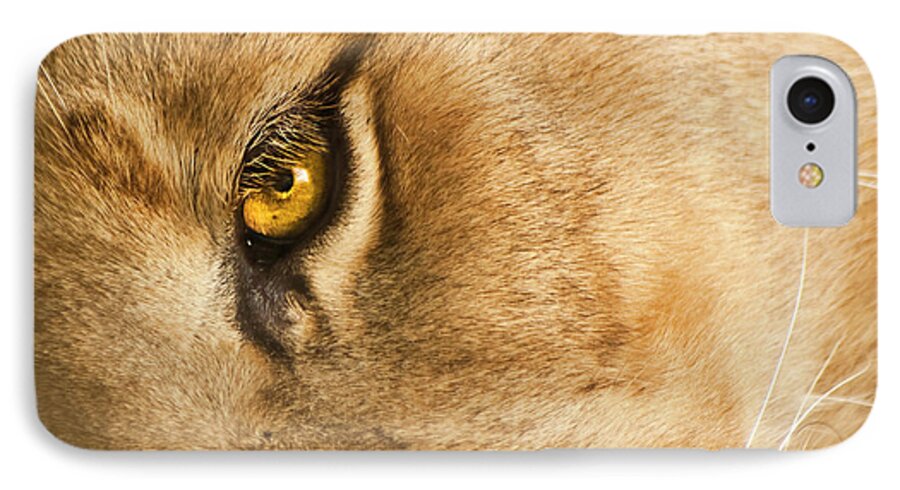 Lion iPhone 7 Case featuring the photograph Your Lion Eye by Carolyn Marshall