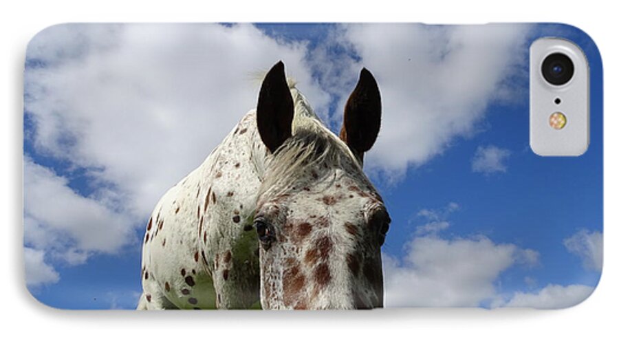 Appaloosa iPhone 7 Case featuring the photograph You've been spotted by Susan Baker
