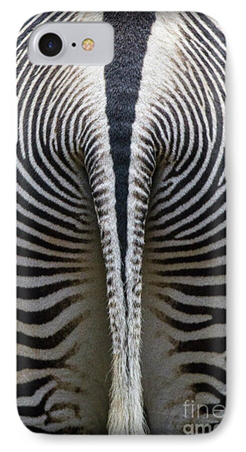 Zebra iPhone 7 Case featuring the photograph Zebra Stripes by Heiko Koehrer-Wagner