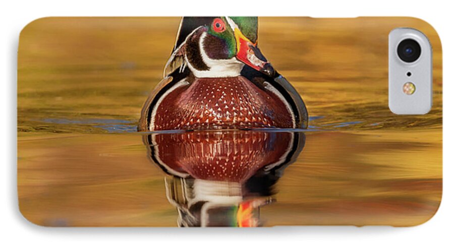 Adult iPhone 7 Case featuring the photograph Wood Duck by Jerry Fornarotto