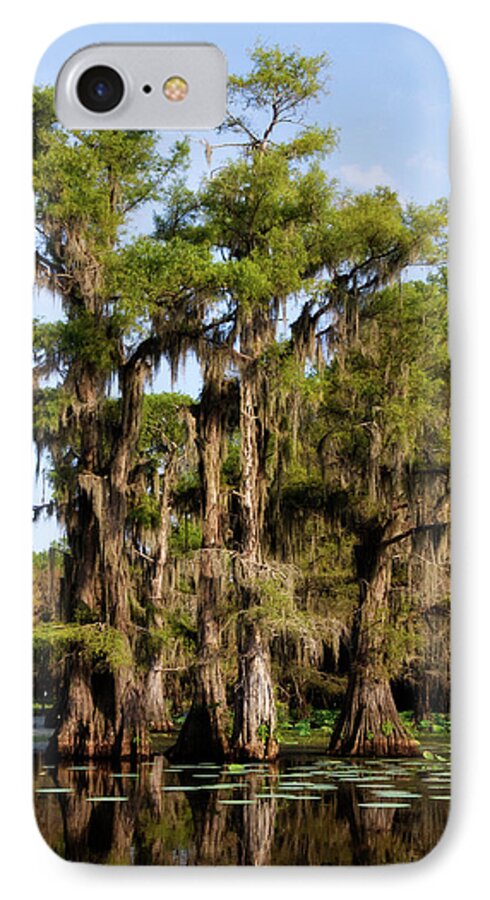 Spanish Moss iPhone 7 Case featuring the photograph Grace of Caddo by Lana Trussell