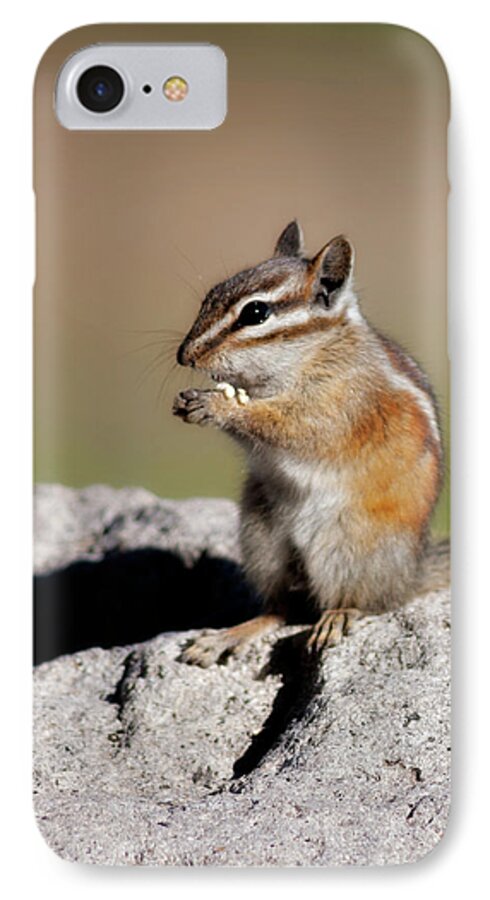 Alone iPhone 7 Case featuring the photograph Just A Little Nibble by Lana Trussell