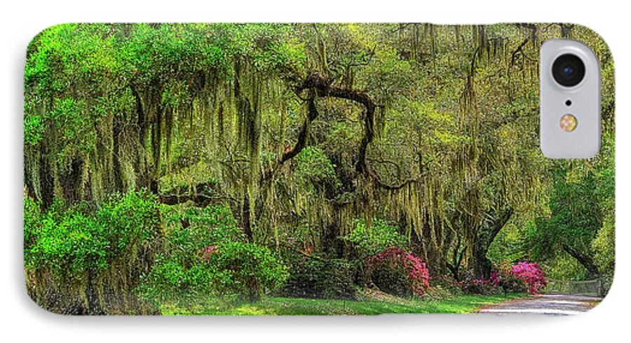 Scenic iPhone 7 Case featuring the photograph Magnolia Plantation And Gardens by Kathy Baccari