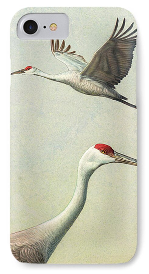 Crane iPhone 7 Case featuring the painting Sandhill Cranes by James W Johnson