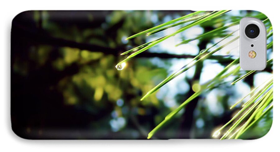 Pine Needle iPhone 7 Case featuring the photograph Sunshine Dewdrop by D Hackett