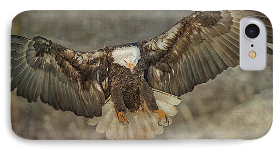 Bald Eagle iPhone 7 Case featuring the photograph Bald Eagle by CR Courson