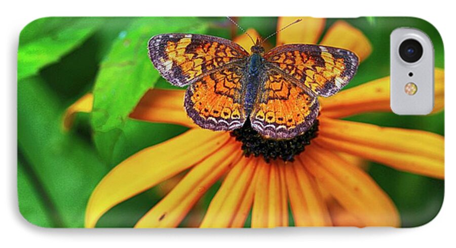 Butterfly iPhone 7 Case featuring the photograph Black Eyed Susan with Butterfly by Mary Bedy