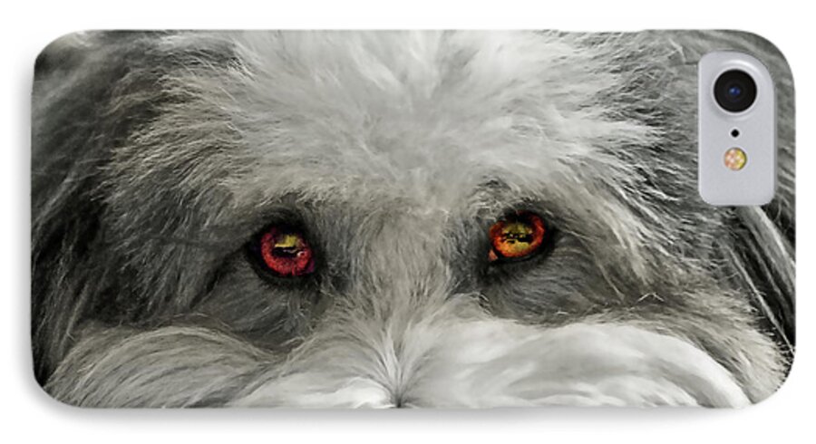 Dog iPhone 7 Case featuring the photograph Coton Eyes by Keith Armstrong