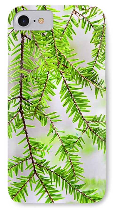 Tree iPhone 7 Case featuring the photograph Eastern Hemlock Tree Abstract by Christina Rollo