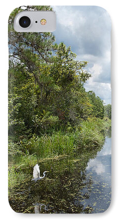 Cove iPhone 7 Case featuring the photograph Egret over the cove by Zina Stromberg