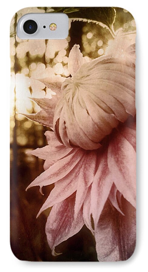 Pink Clematis iPhone 7 Case featuring the photograph I Bloom Only for You She Whispered by Susan Maxwell Schmidt