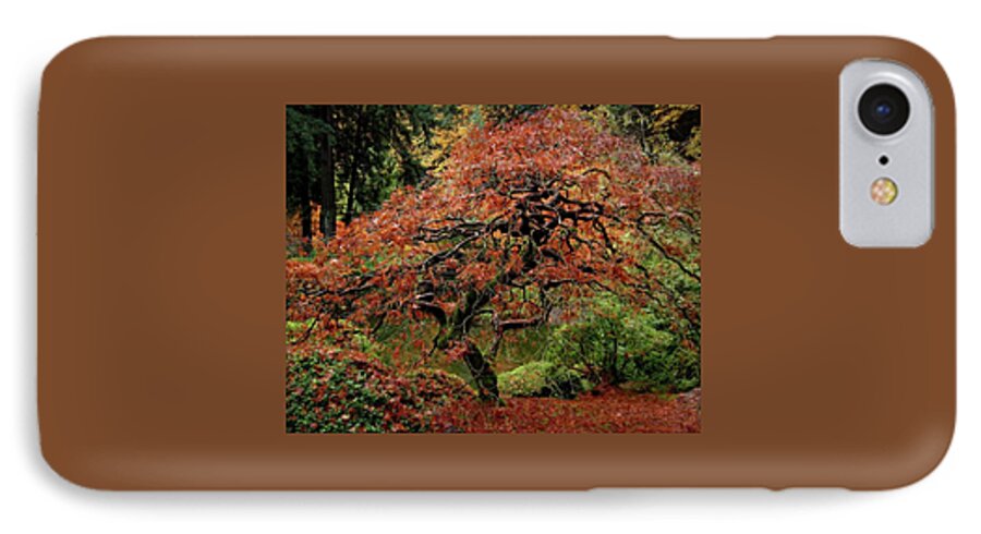 Pictures Of Japanese Gardens iPhone 7 Case featuring the photograph Japanese Maple At The Japanese Gardens Portland by Thom Zehrfeld