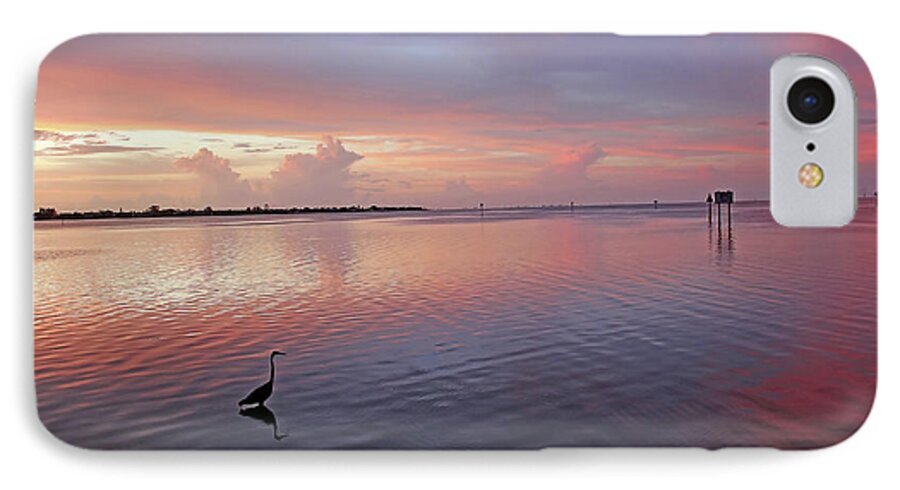 Sunset iPhone 7 Case featuring the photograph Last Light by HH Photography of Florida