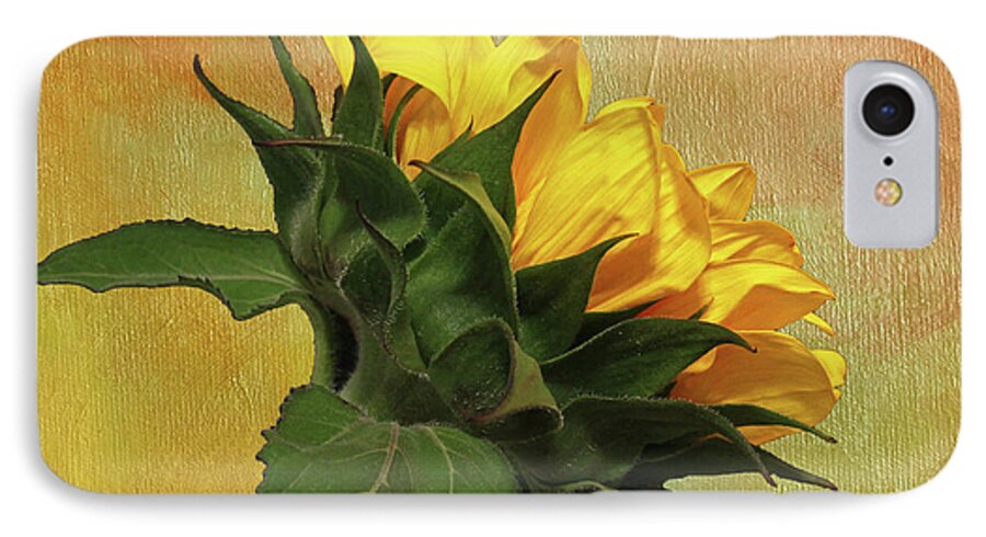 Sunflower iPhone 7 Case featuring the photograph Painted Golden Beauty by Judy Vincent