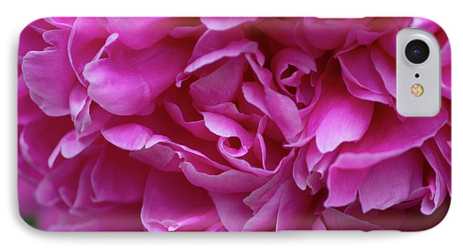 Flowers iPhone 7 Case featuring the photograph Peony by Aggy Duveen