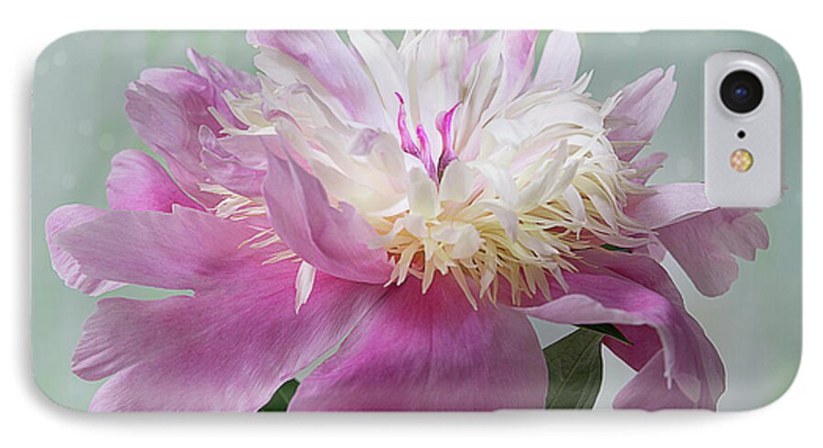 Flower iPhone 7 Case featuring the photograph Pink and White Peony by Patti Deters