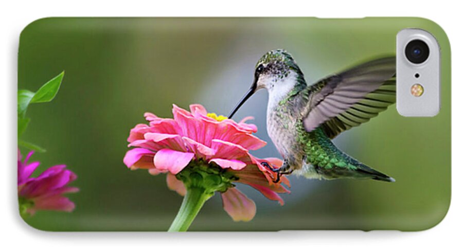 Hummingbird iPhone 7 Case featuring the photograph Tranquil Joy by Christina Rollo