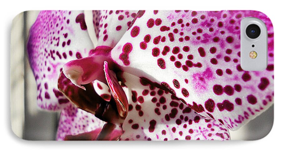 Orchid iPhone 7 Case featuring the photograph Violet beauty by Ramona Matei
